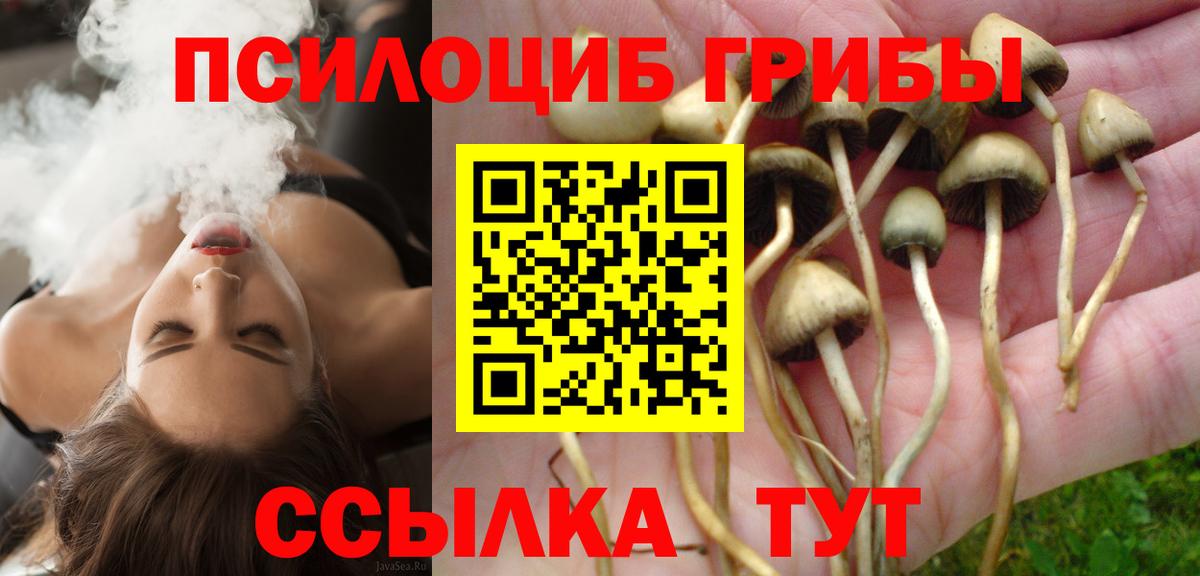 Псилоцибиновые грибы ЛСД  Вход с VPN  Ярцево 